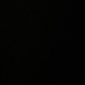 Meet your Posher, Randy